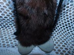 leather face fur feet